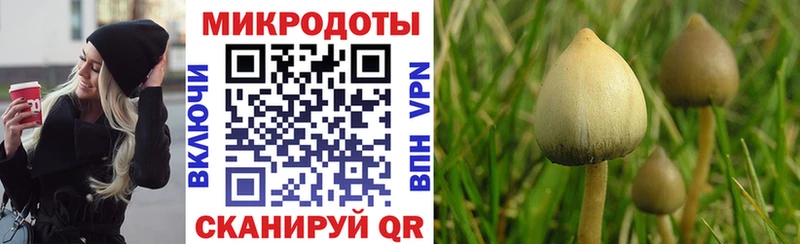 Галлюциногенные грибы Cubensis  darknet как зайти  Оха 